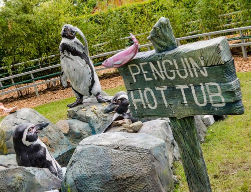 Unique Hot Tub pics 9